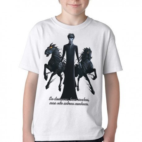 Camiseta Infantil ou adulto Origem dos Guardiões Breu Blusa Criança todos tamanhos