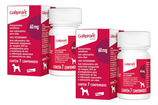 Kit 2 Galliprant 60mg Elanco para Cães - 7 Comprimidos em Oferta na Shopee