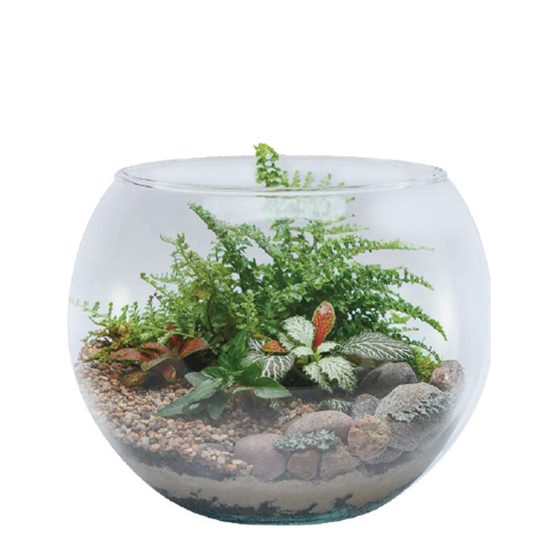 AQUARIO - Ø24 X 18 CM 4,5 L - CAIXA C/ 12 PEÇAS