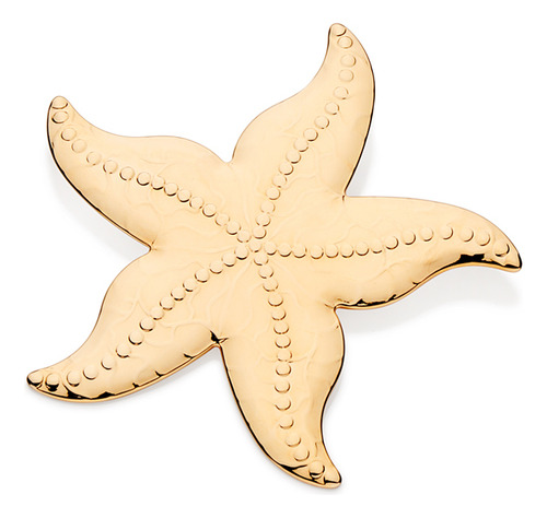 Pingente Formato Estrela Do Mar Com Trabalho 542791 542791 em Oferta na Shopee