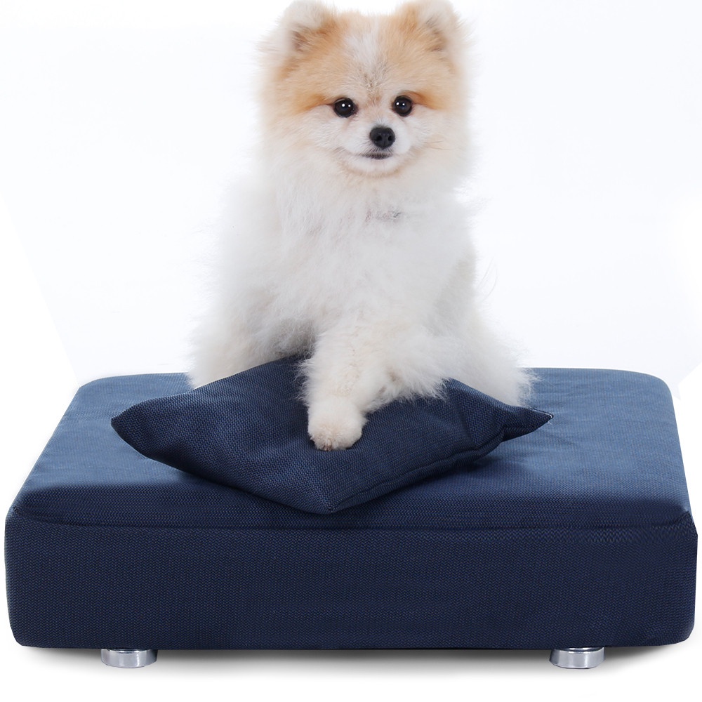 Cama Box Para Cachorro + Travesseiro - Caminha Pet - BF Colchões em Oferta na Shopee