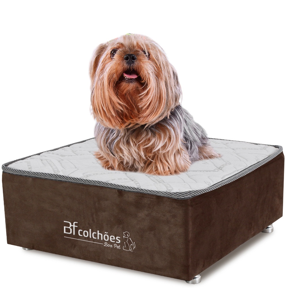 Cama Box Caminha para Cachorro e Gato em Suede Marrom + Lençol Impermeável 60X60x24cm BF Colchões em Oferta na Shopee