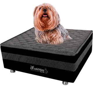 Cama Box Pet Com Lençol Impermeável Branco Para Cachorros e Gatos 60x60x24cm BF Colchões em Oferta na Shopee