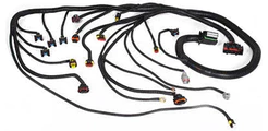 chicote completo sistema de injecao eletronica - palio flex - 1.0 -1.4 - 8 v - nr original 55216805