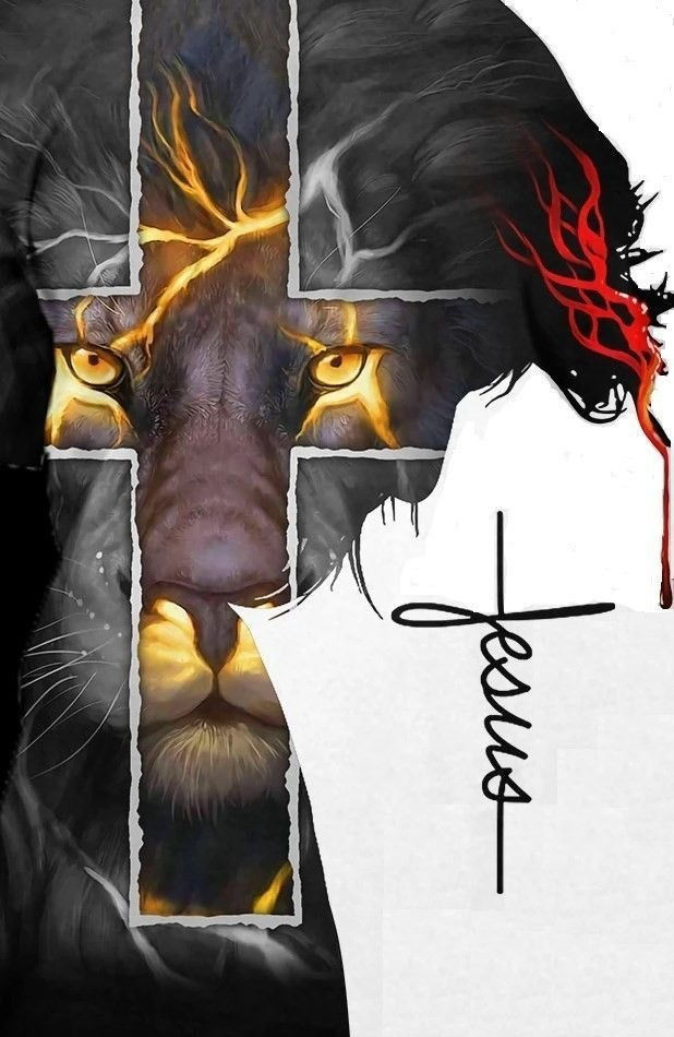 Adesivos Carros Png: Onde Comprar | BuscaProdutos