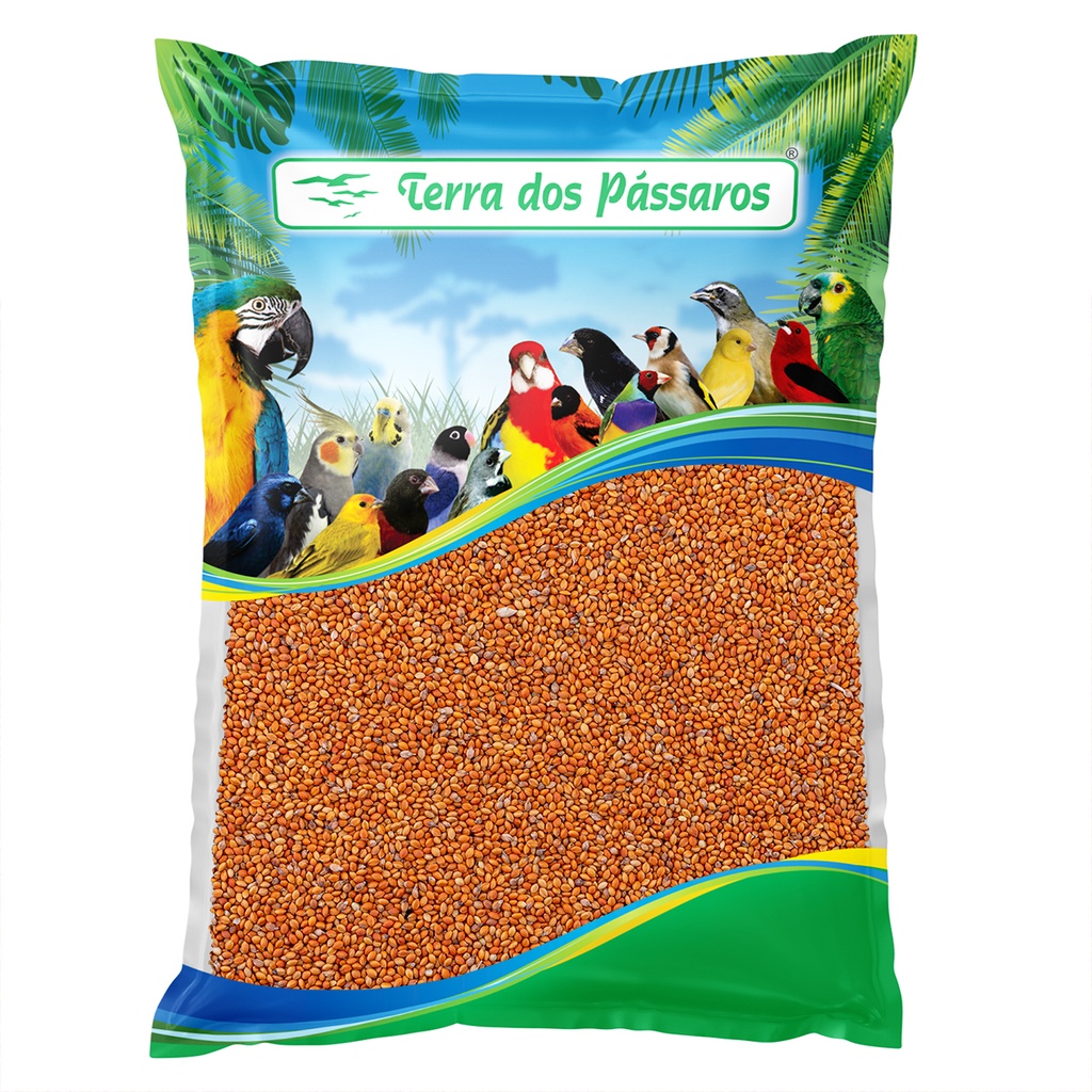 Painço Português Salmão para Curió, Bicudo, Azulão - 500g em Oferta na Shopee