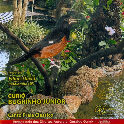 CD - Curió - Bugrinho Junior - Canto Praia Clássico