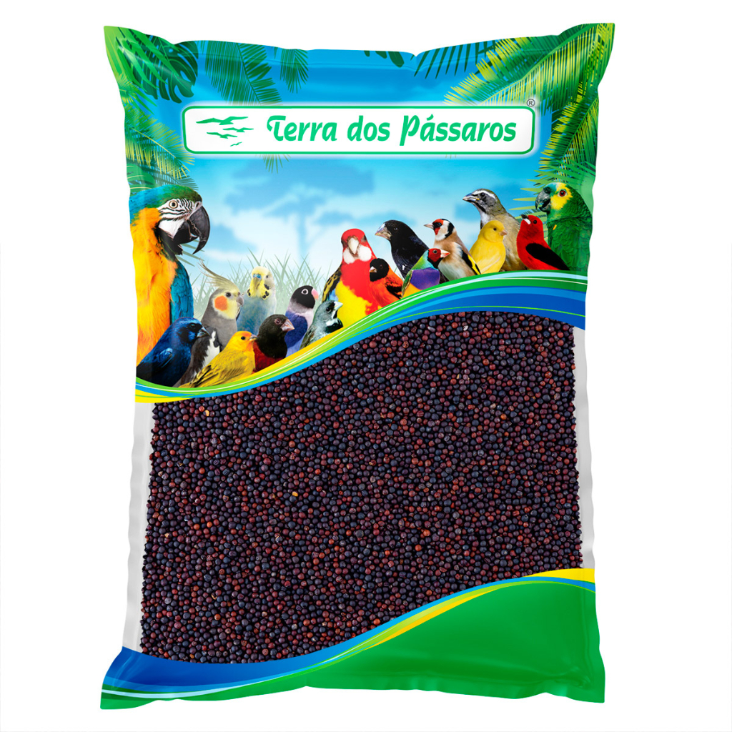 Semente de Colza para pássaros - 500g