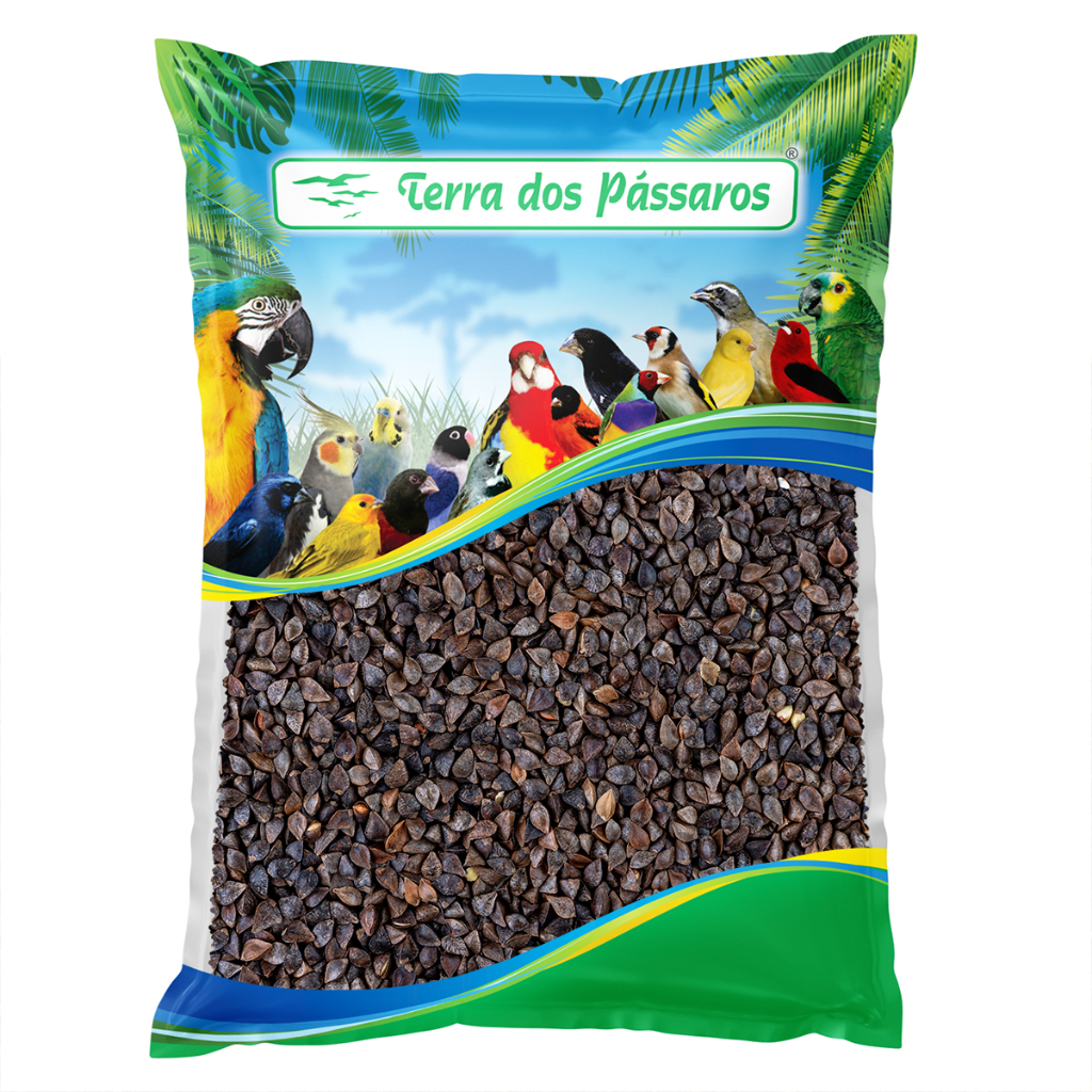 Trigo Sarraceno para Pássaros - 500g em Oferta na Shopee