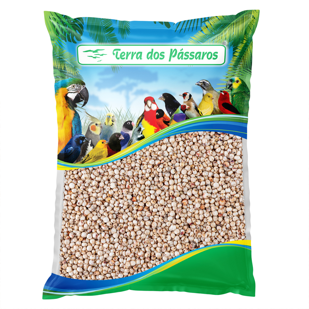 Semente de Sorgo Branco para Pássaros - 500g em Oferta na Shopee