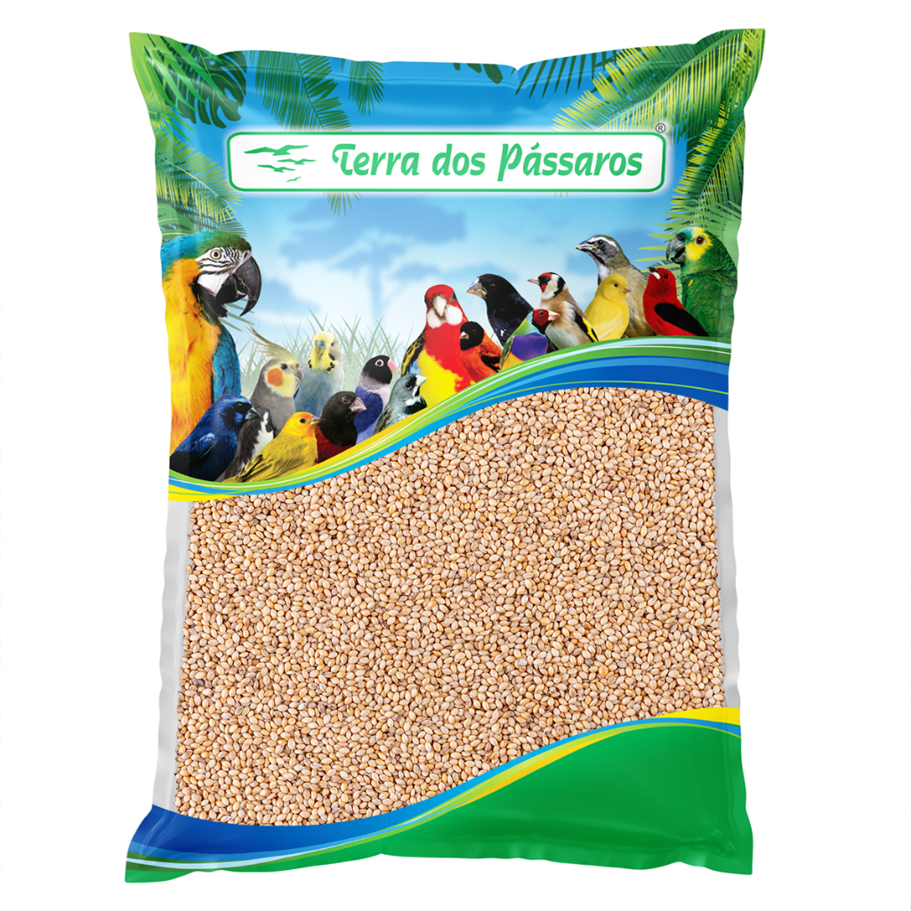 Painço Português para Pássaros - Sementes - 500g - Escolha a quantidade