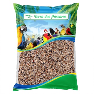 Mistura de Sementes - Pássaros Exóticos - Diamante e Mandarim - 500g em Oferta na Shopee