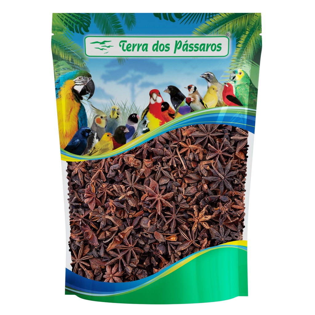 Anis Estrelado desidratado - 30g em Oferta na Shopee