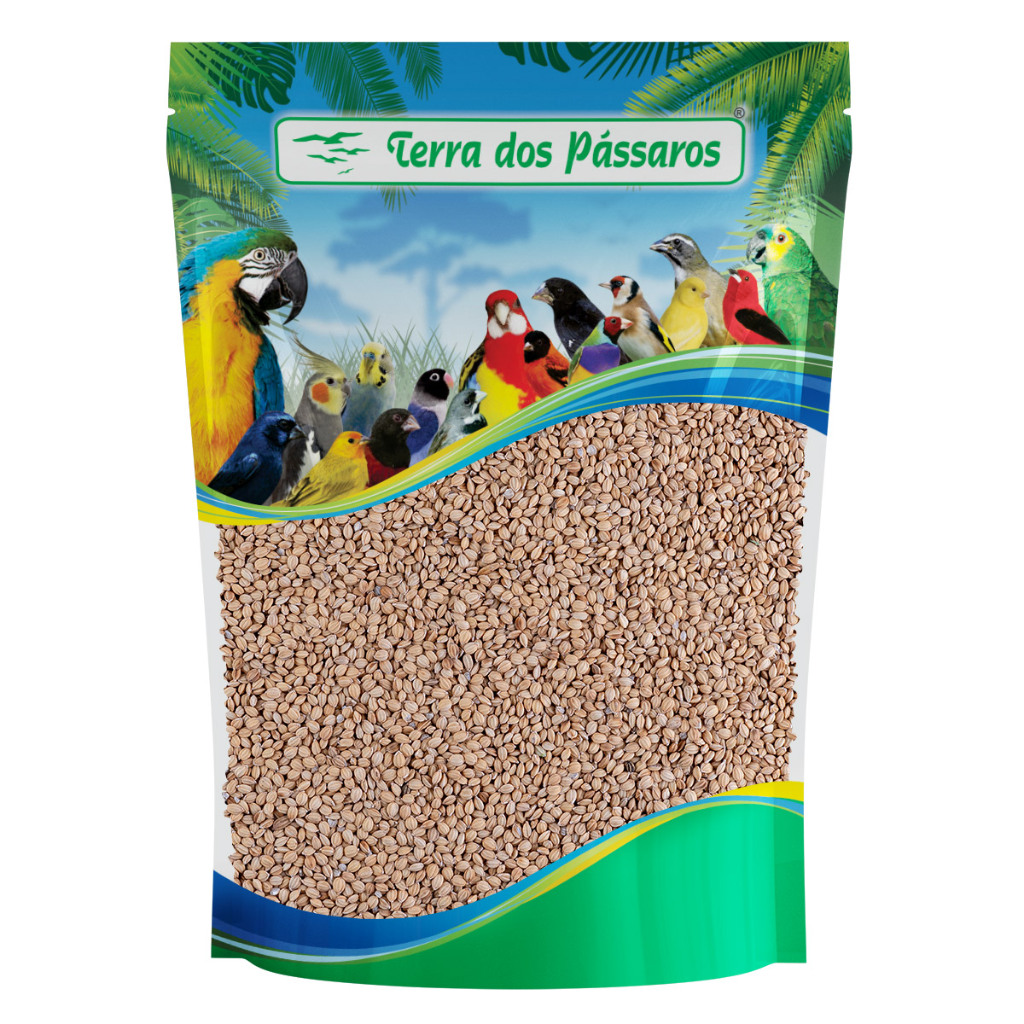 Semente Limpa de Arroz Japonês - Bolinha - 200g - Curió Bicudo Pássaro preto Trinca Ferro