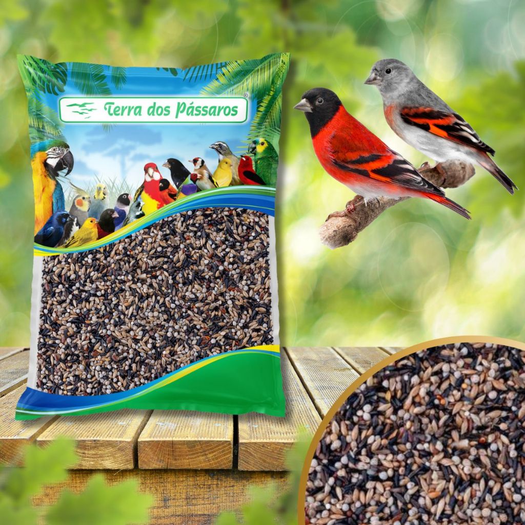 Mistura de Sementes para Tarim - Pintassilgo da Venezuela - 200g