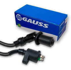 Bobina De Ignição Para Moto Honda CG Titan 125 Modelos KS ES KSE 1992 A 2002 Original Gauss