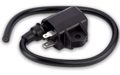 Bobina De Ignição Suzuki Yes 125 2008 A 2020 Original Gauss