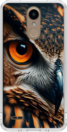 Capa de Celular Capinha LG K10 2017   Personalizada - Coruja