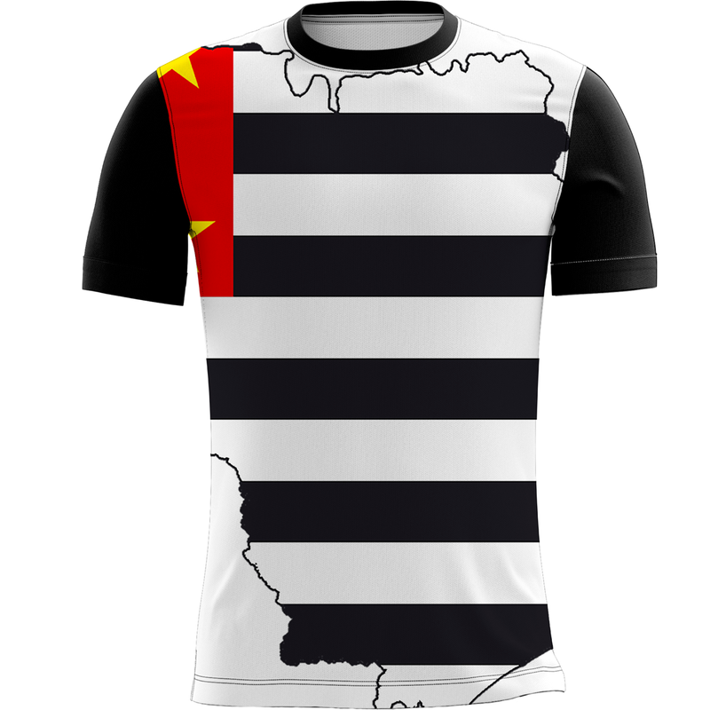 Camiseta Personalizada Bandeira São Paulo Cores 2_x000D_