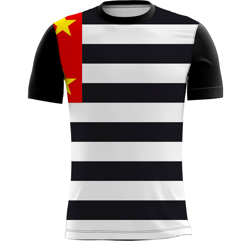 Camiseta Personalizada Bandeira São Paulo Orgulho 3_x000D_