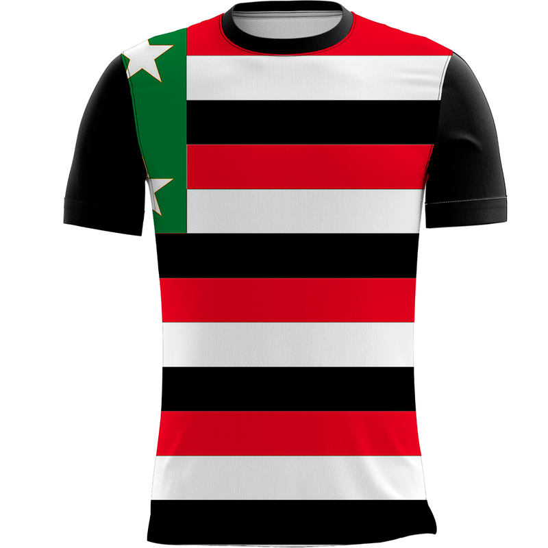 Camiseta Personalizada Bandeira São Paulo Cultura 4_x000D_