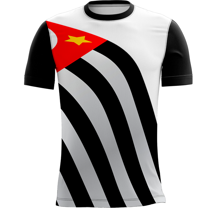 Camiseta Personalizada Bandeira São Paulo Força 7_x000D_