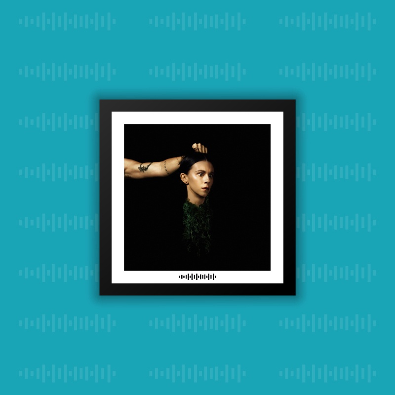 Quadro Álbum Decorativo - PVRIS