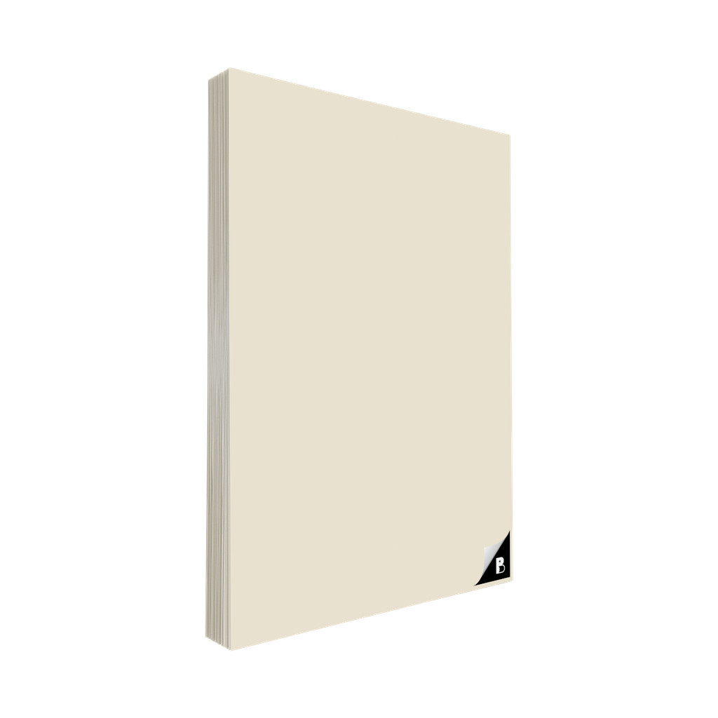 Papel tipo Polén 90g 80 Folhas