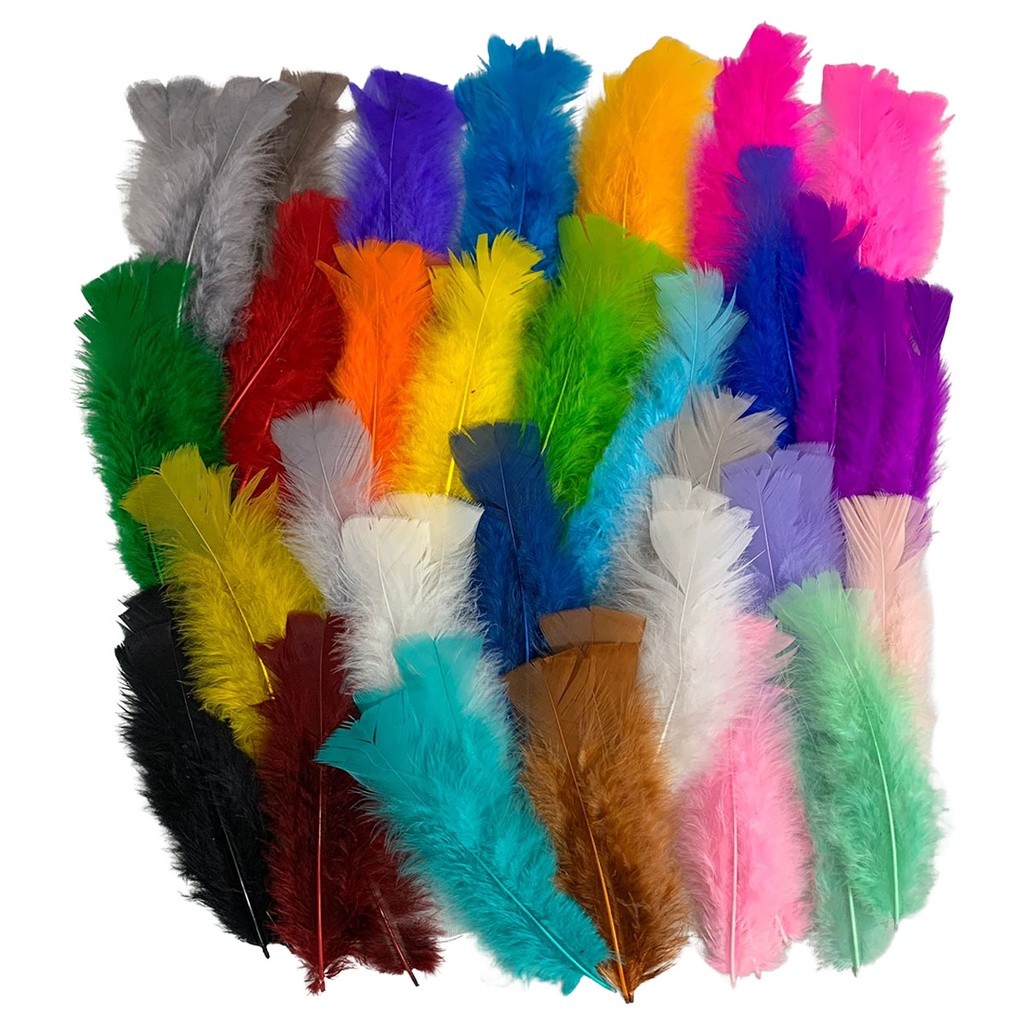 Penas Coloridas 100 Unidades 15cm Trabalho Escolar e Brincadeiras em Oferta na Shopee