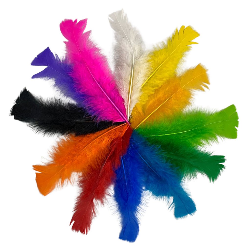 Pena Colorida 60 Unidades Plumas Penas Para Artesanatos Fantasias Festa em Oferta na Shopee
