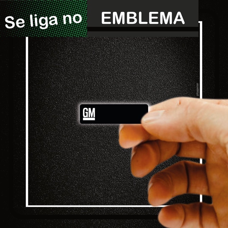 2 Emblemas Adesivo GM Radio Motoradio Albatroz