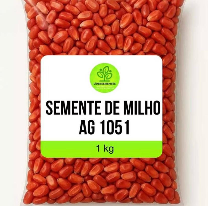 Milho Híbrido 1051: Onde Comprar | BuscaProdutos