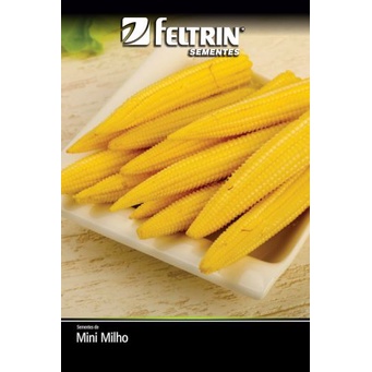 Sementes Mini Milho Dimas - Feltrin Sementes