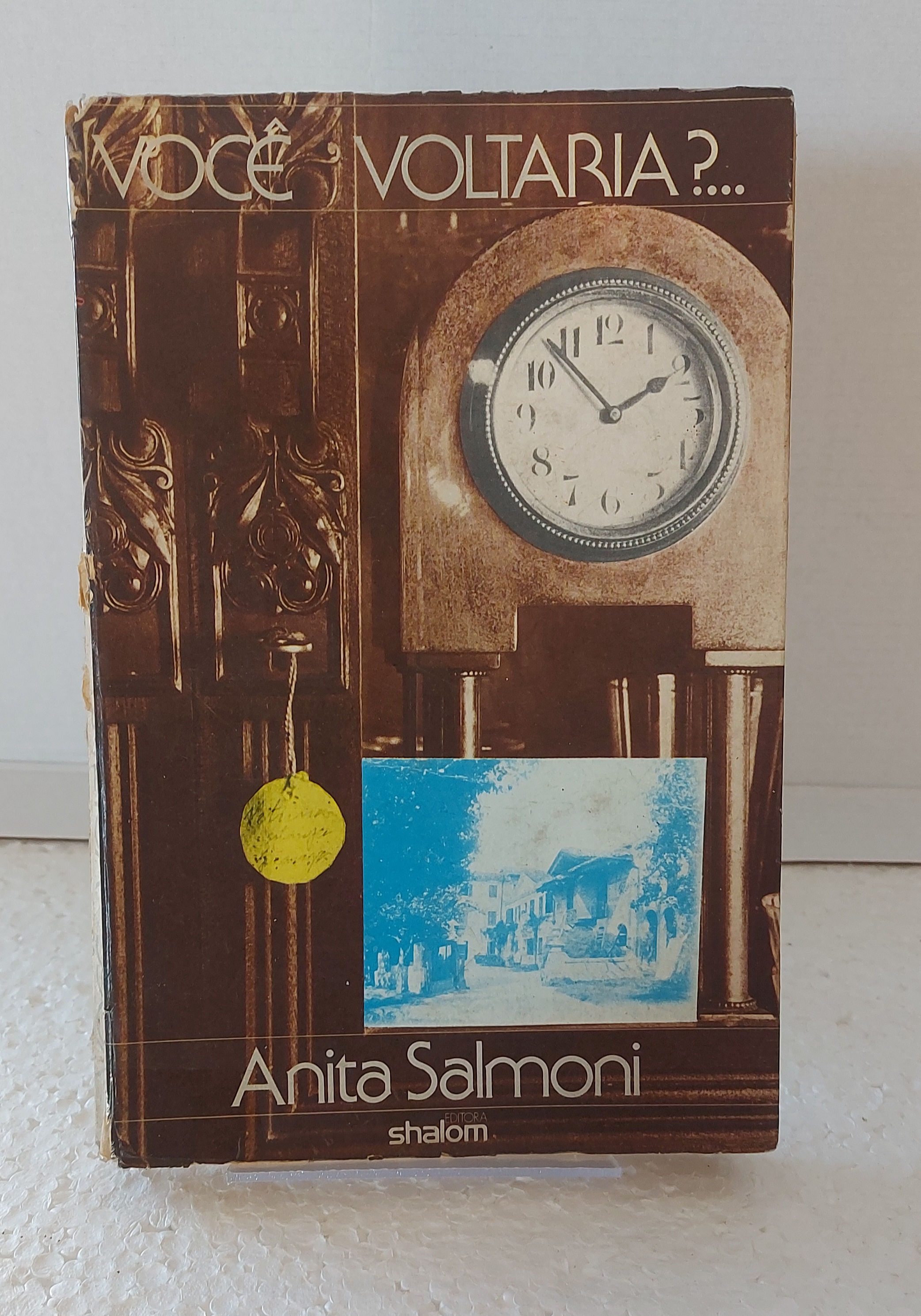 Você Voltaria?- Anita Salmoni