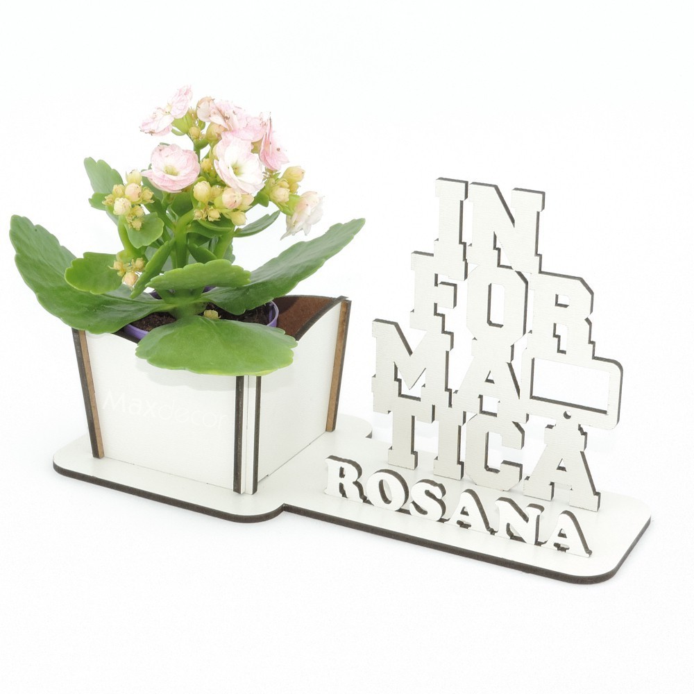 10 Porta Flores Com Display Mdf Branco Lembrancinha Informática