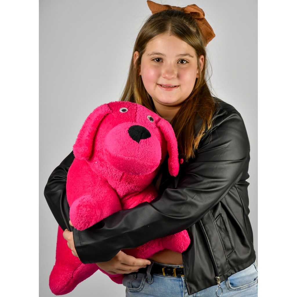 CACHORRO DE PELUCIA QUE VIRA TRAVESSEIRO ALMOFADA DE CACHORRINHO GRANDE 58 cm em Oferta na Shopee