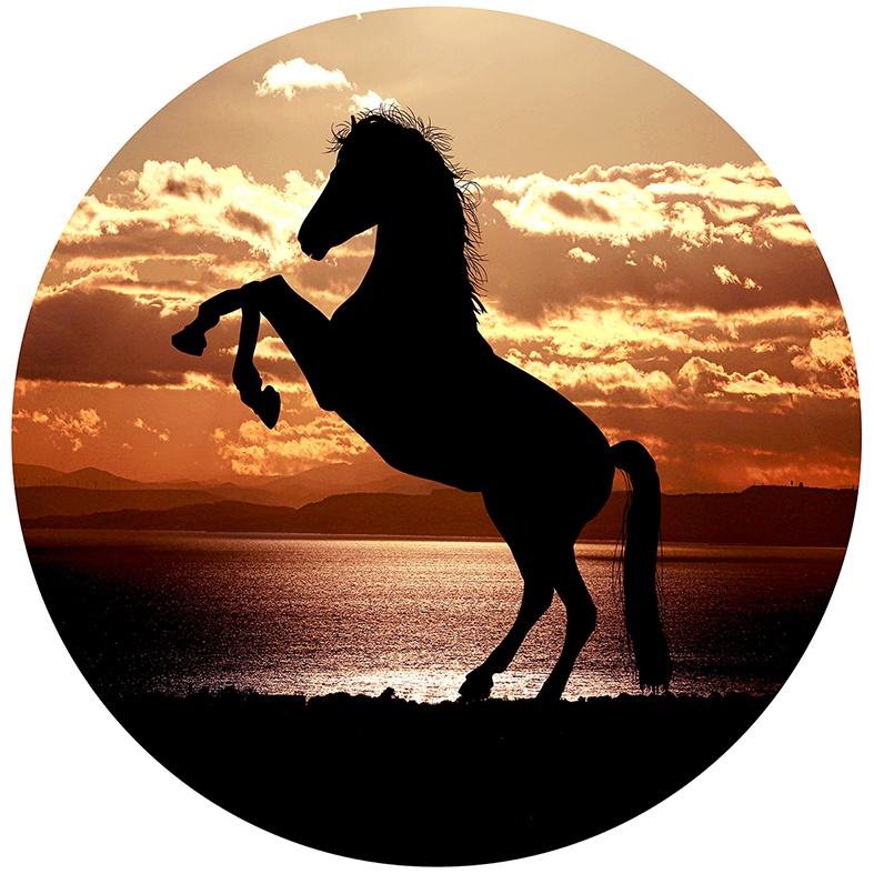 Painel Redondo Tecido Sublimado Cavalo C/elástico 150x150cm em Oferta na Shopee