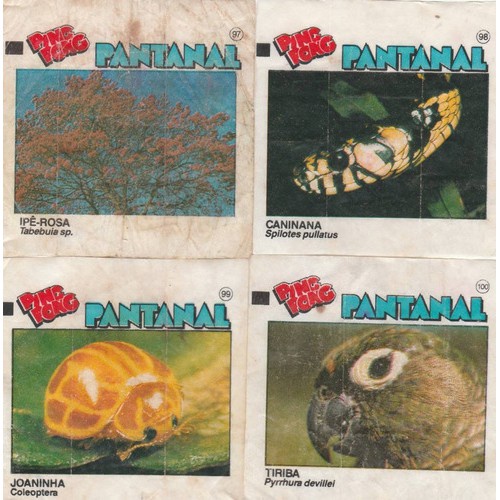 Figurinha Chiclé Ping Pong - Álbum Pantanal - X9
