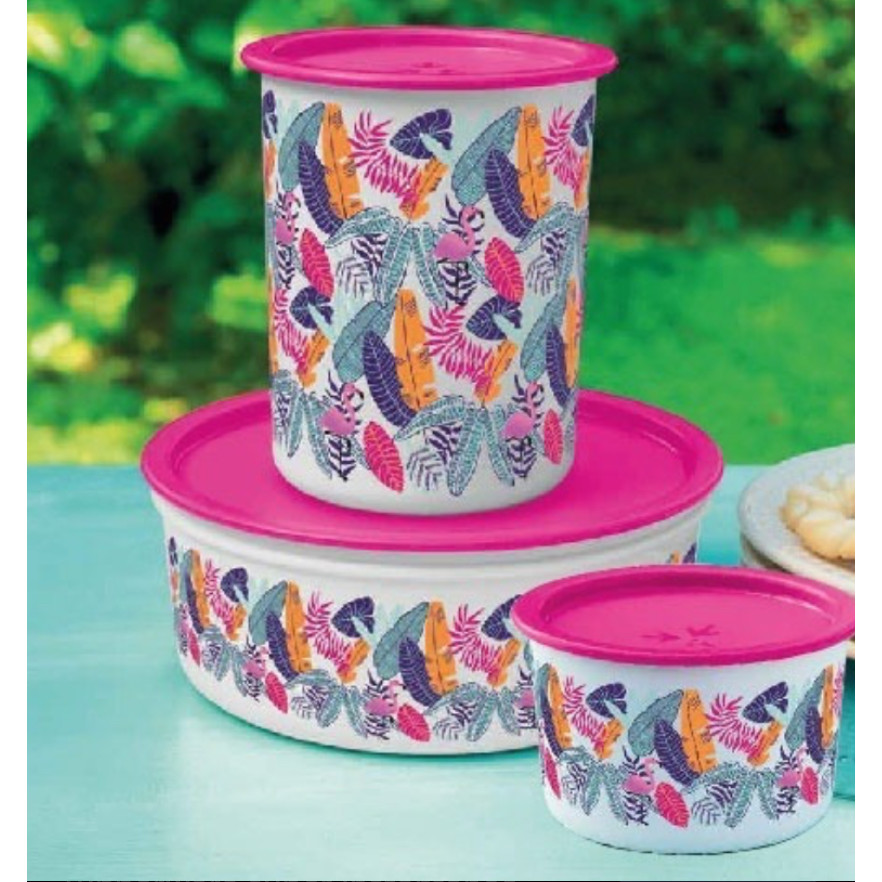 Tupperware Linha Super Slim (escolha)