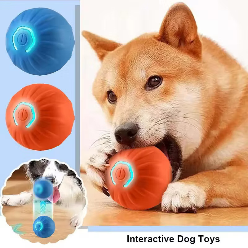 Brinquedos de Cachorro-quente: Onde Comprar | BuscaProdutos