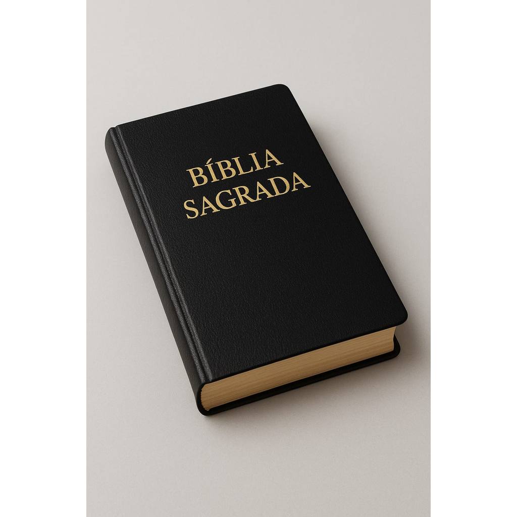 Bíblia Sagrada Simples: Onde Comprar | BuscaProdutos