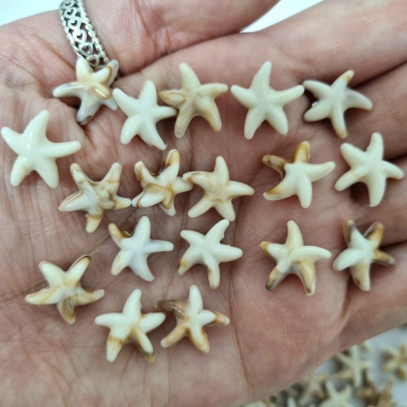 Estrela Do Mar Entremeio 40 Peças 14mm Acessórios Bijuterias Bordados Artesanatos