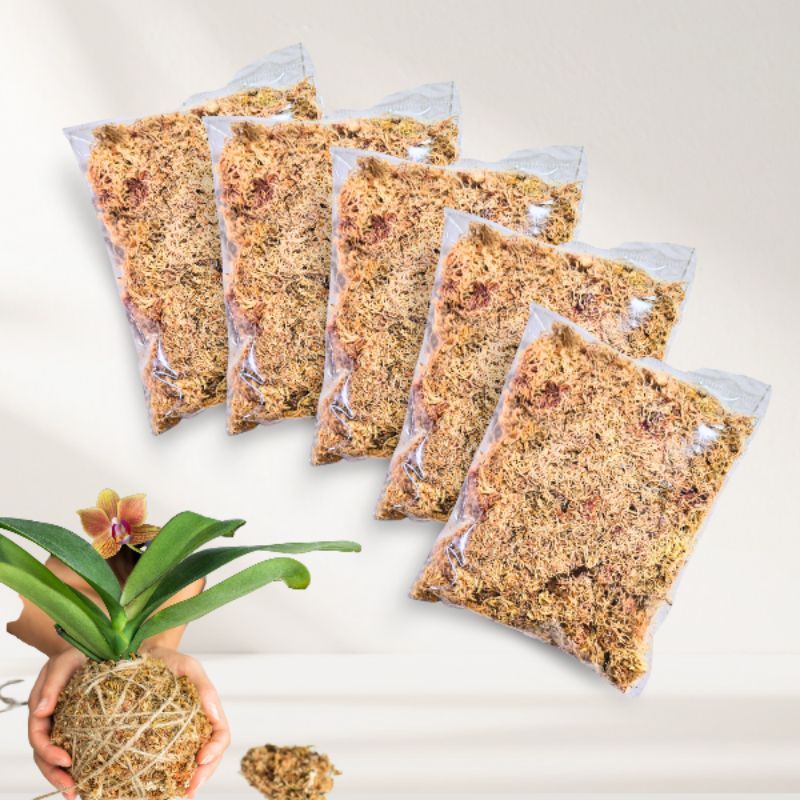 10 litros Musgo Sphagnum Seco Natural para Jardinagem, Orquídea, Suculenta, Esfagno