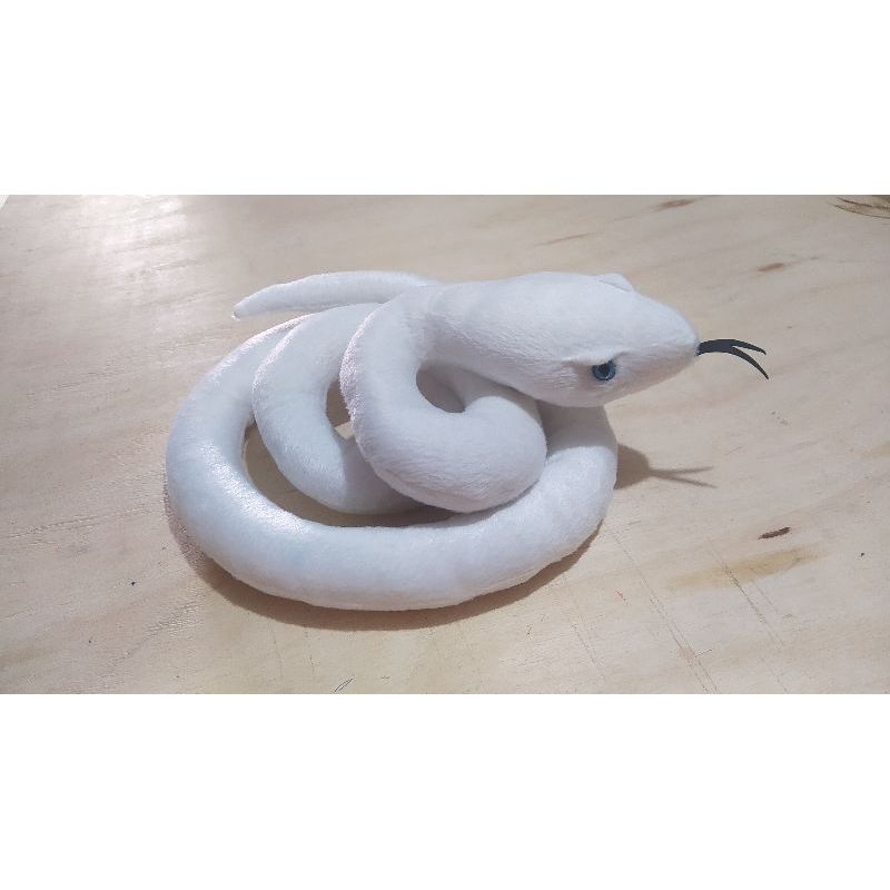 O que é Cobra Albina? Guia e Onde Comprar | BuscaProdutos