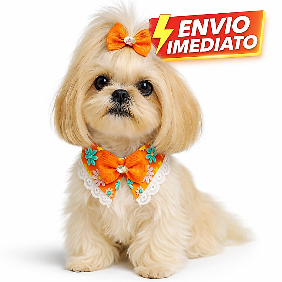 Kit 25 Gargantilhas Pet Luxo — Colarinho para Banho e Tosa o Laçinho da Cabeça do Pet é Ilustrativo não Acompanha