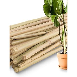 Estacas de Bambu Natural Variadas (20cm a 1m) - Kit Sustentável para Artesanato e Jardim