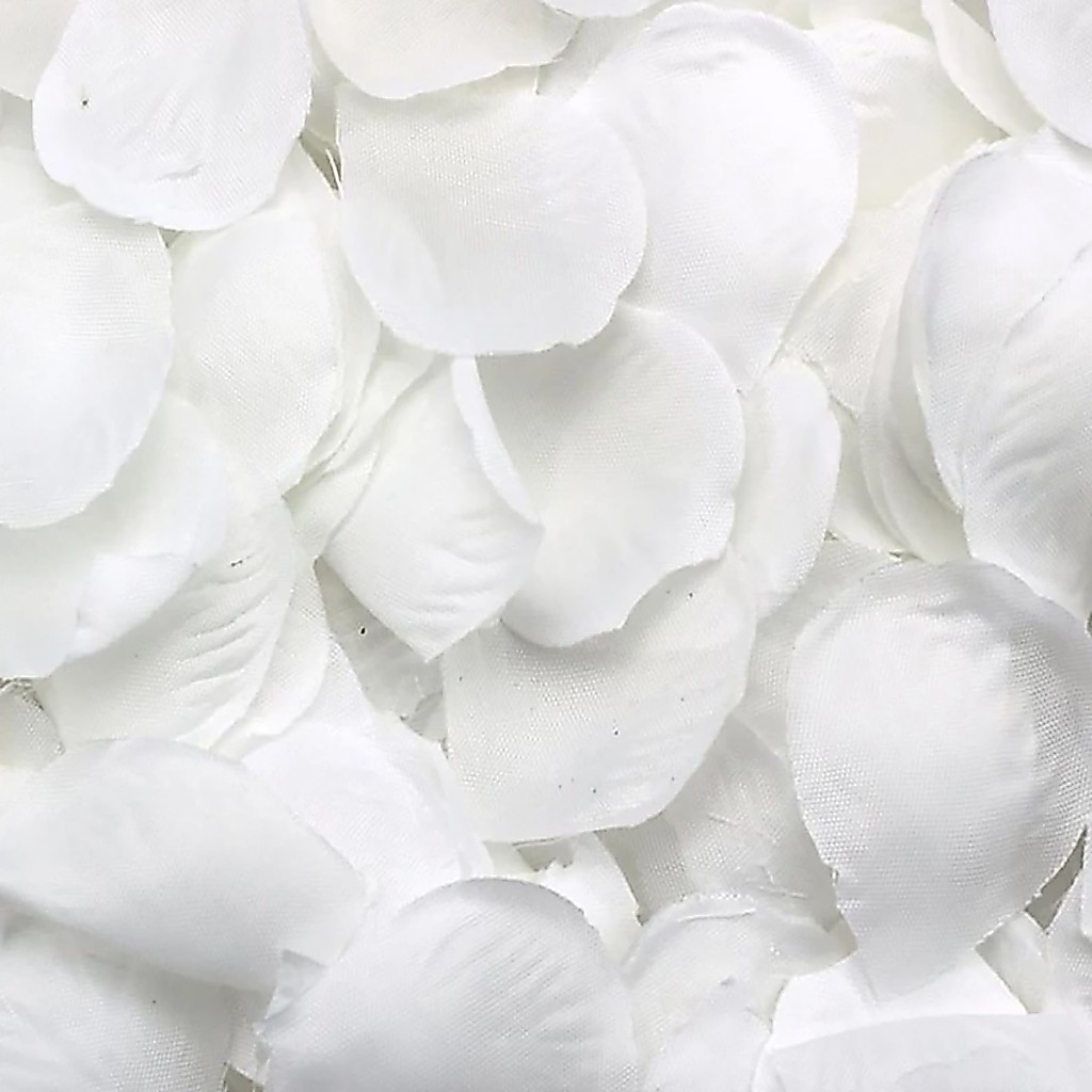 2000 Pétalas De Rosas Artificiais Brancas Decoração Casamento Festas