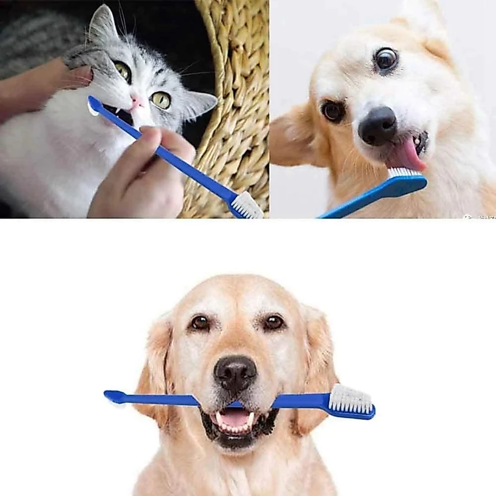 Escova dente dupla para pet cachorro cão gato 22cm comprimento longa confortavel