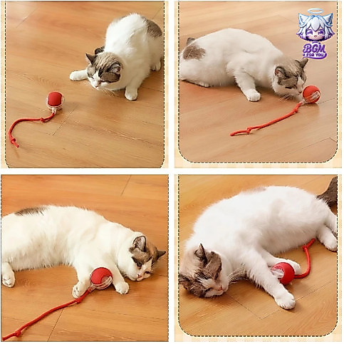 Brinquedo Inteligente Para Cães E Gatos De Estimação , Bola Rolante Automática , Elétrica Recarregável nova