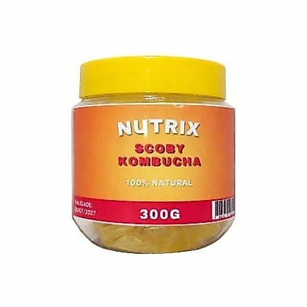 scoby kombuchá e manual de cuidados